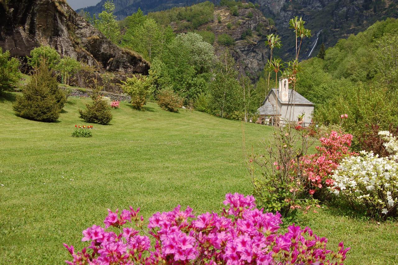 فيلا Chalet La Baita باشينو المظهر الخارجي الصورة